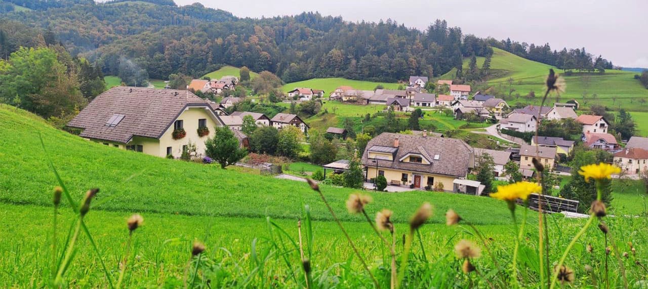 Joga viježbe i joga radionice