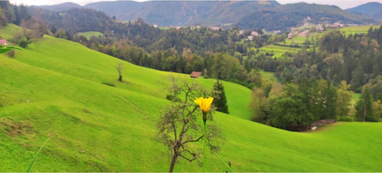 Joga viježbe i joga radionice