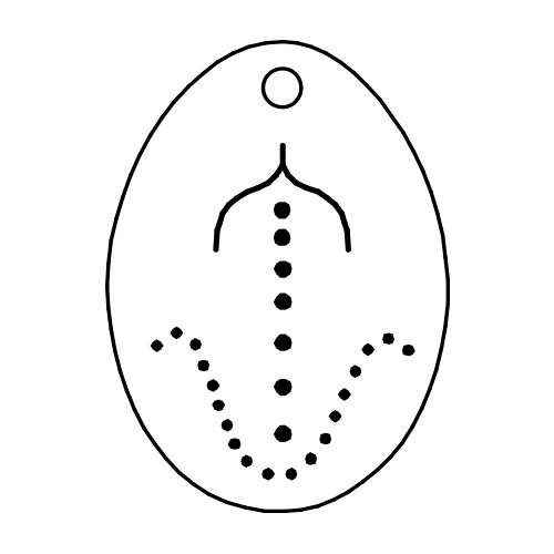 Ženski organi